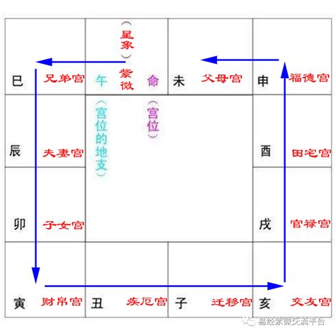 紫微斗数十二宫